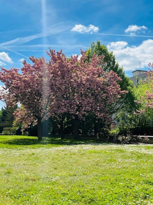 Studio Situe A 5 Min Du Chateau De Versailles Et Stationnement Gratuit Eksteriør bilde
